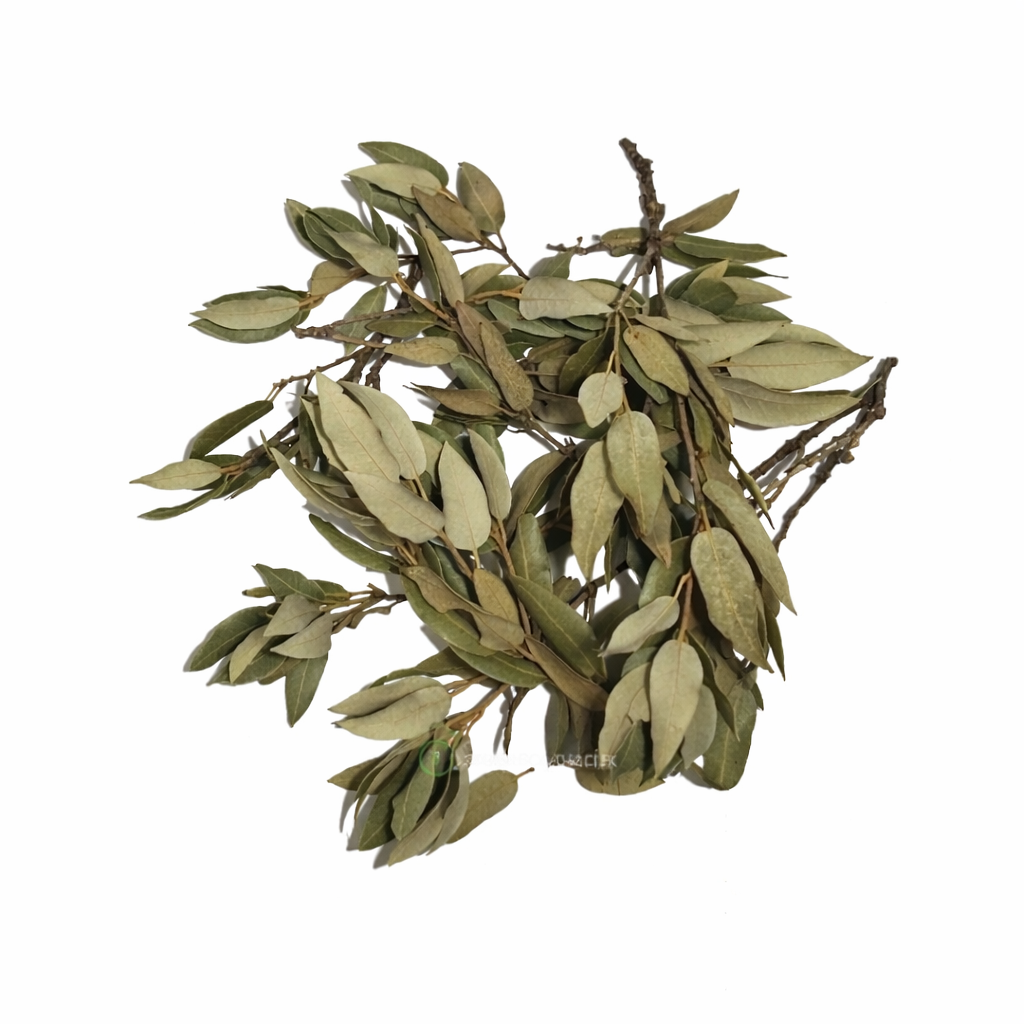 ChatGPT Image 26. 3. 2026, 13_11_22